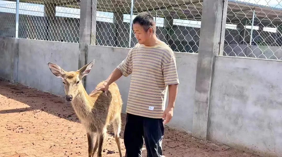 九线拉王下载